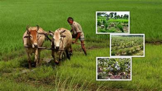 कृषि विश्वविद्यालयद्वारा पाठ्यक्रम परिमार्जन