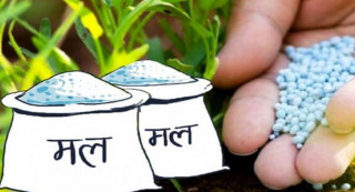 ‘यस वर्ष गहुँबालीका लागि रासायनिक मलको अभाव हुँदैन’