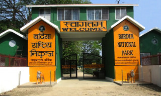 बर्दिया राष्ट्रिय निकुञ्जमा बढेन् थाल्यो पर्यटकको चहलपह