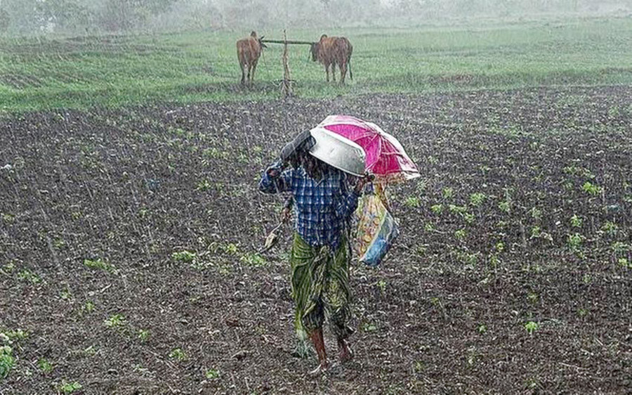 वर्षासँगै किसानलाई राहत